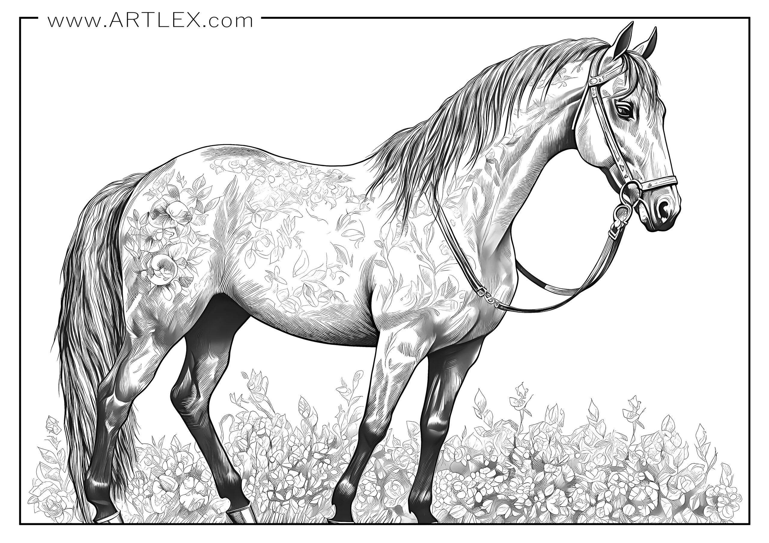 12 Best Horses Coloring Pages (Free + Printable) – Artlex regarding Free Printable Realistic Horse Coloring Pages