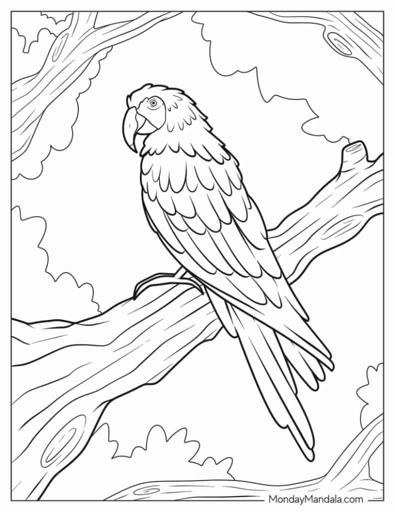 22 Parrot Coloring Pages (Free Pdf Printables) regarding Free Printable Parrot Coloring Pages