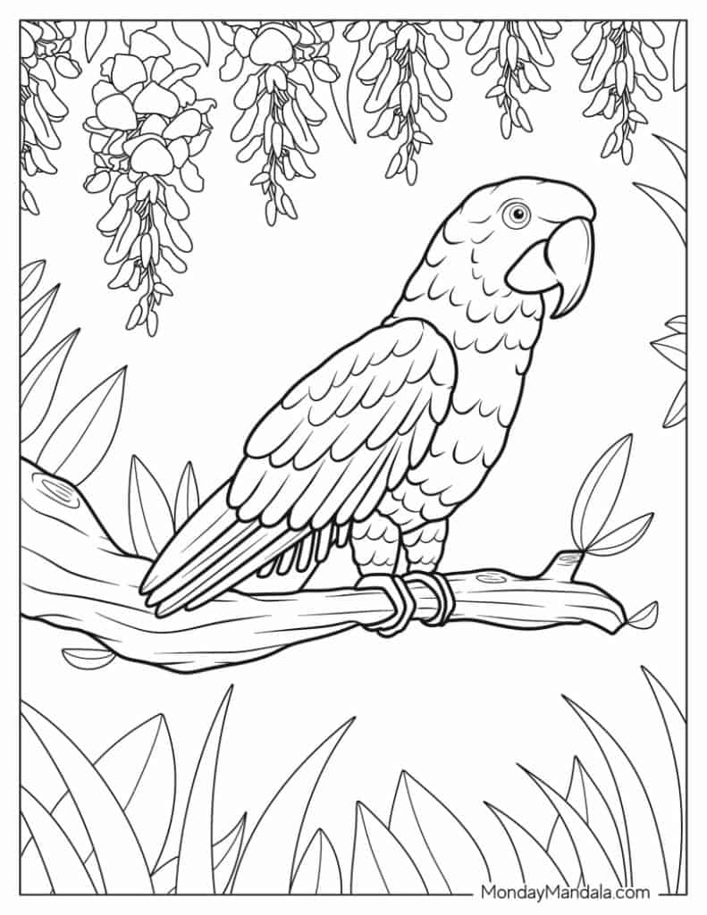 22 Parrot Coloring Pages (Free Pdf Printables) within Free Printable Parrot Coloring Pages