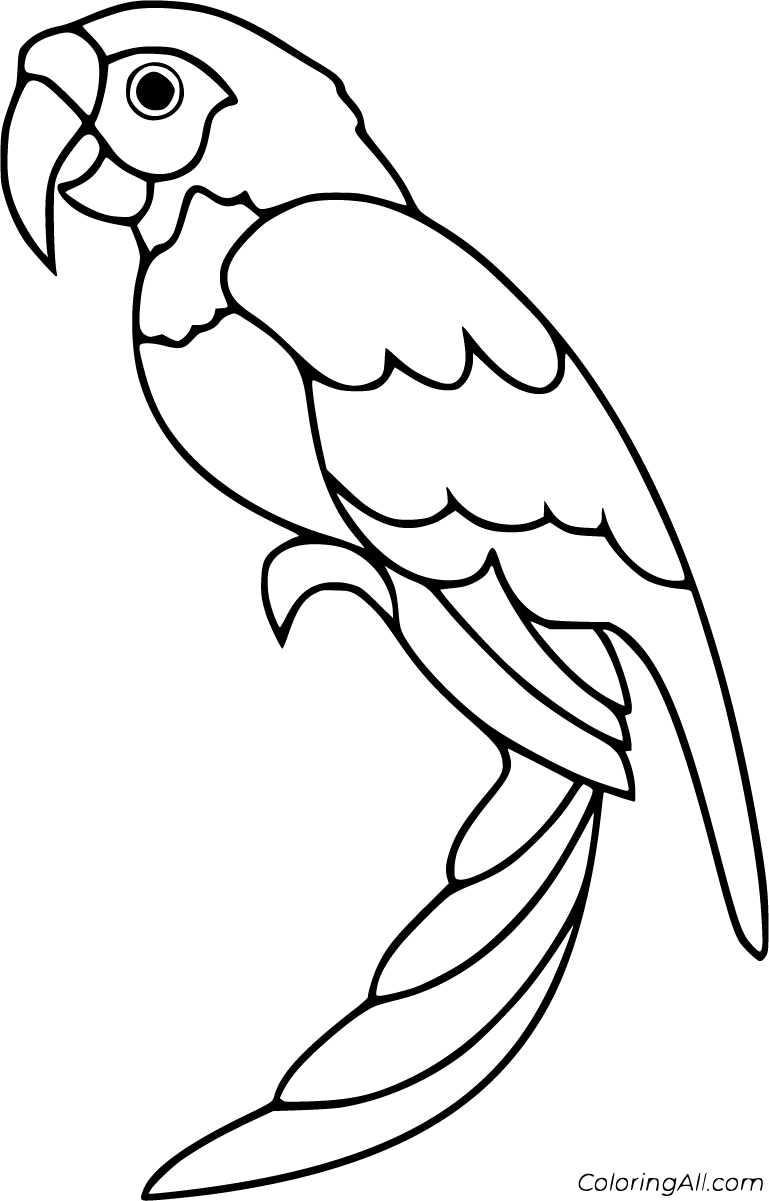 25 Free Printable Parrot Coloring Pages In Vector Format, Easy To in Free Printable Parrot Coloring Pages