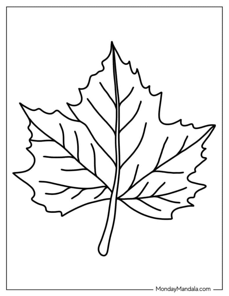 34 Leaf Coloring Pages (Free Pdf Printables) inside Free Printable Leaf Coloring Pages