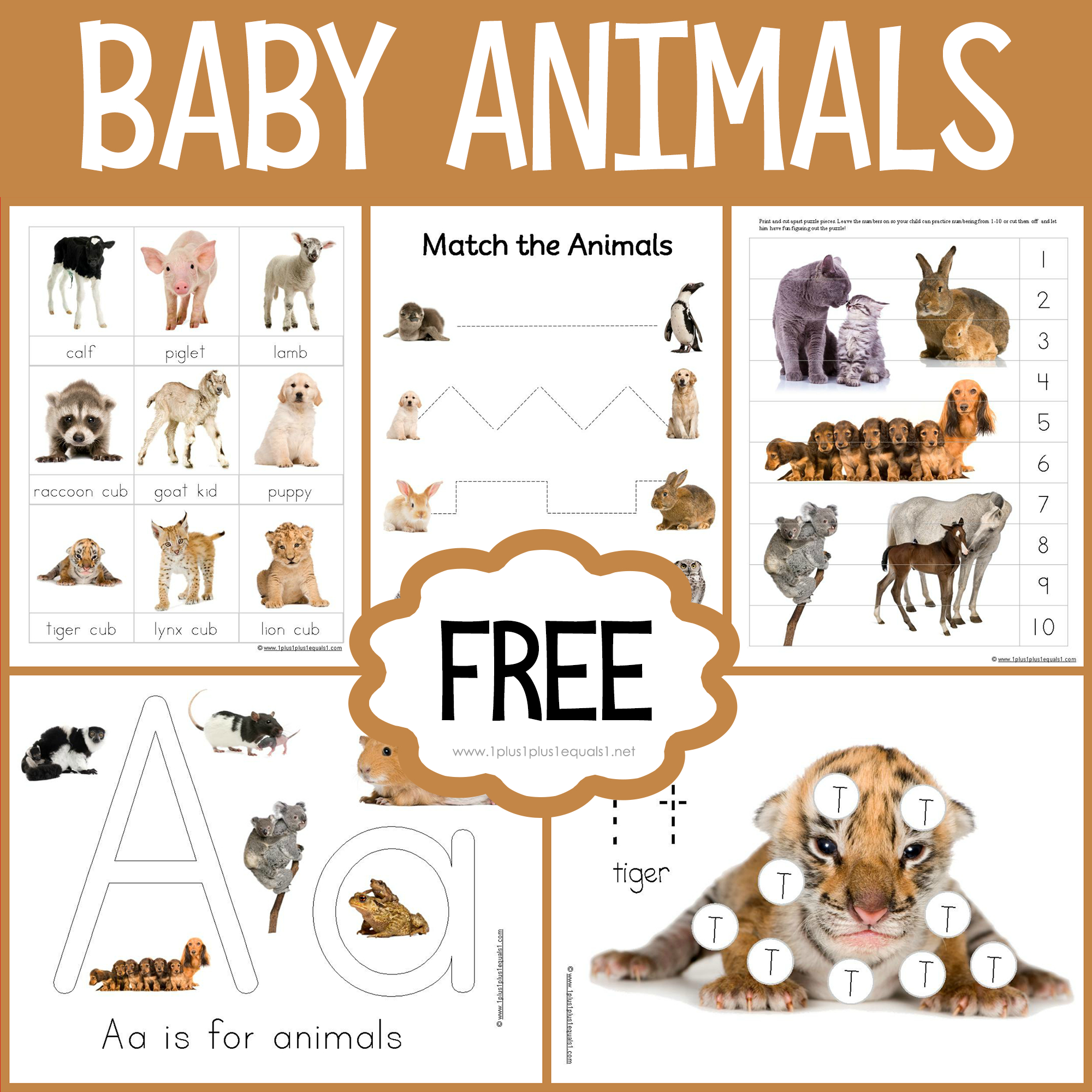 Baby Animals Printables | Baby Animal Printables, Animal within Free Printable Pictures of Baby Animals