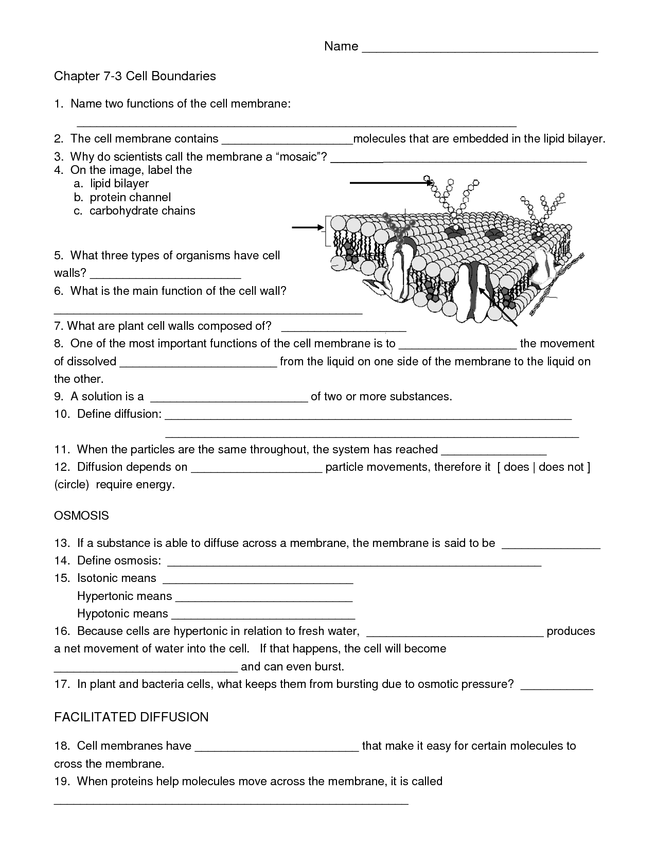 Biology Cell Worksheets | Biology Worksheet, Cell Biology, Cells in Free Printable Biology Worksheets for High School