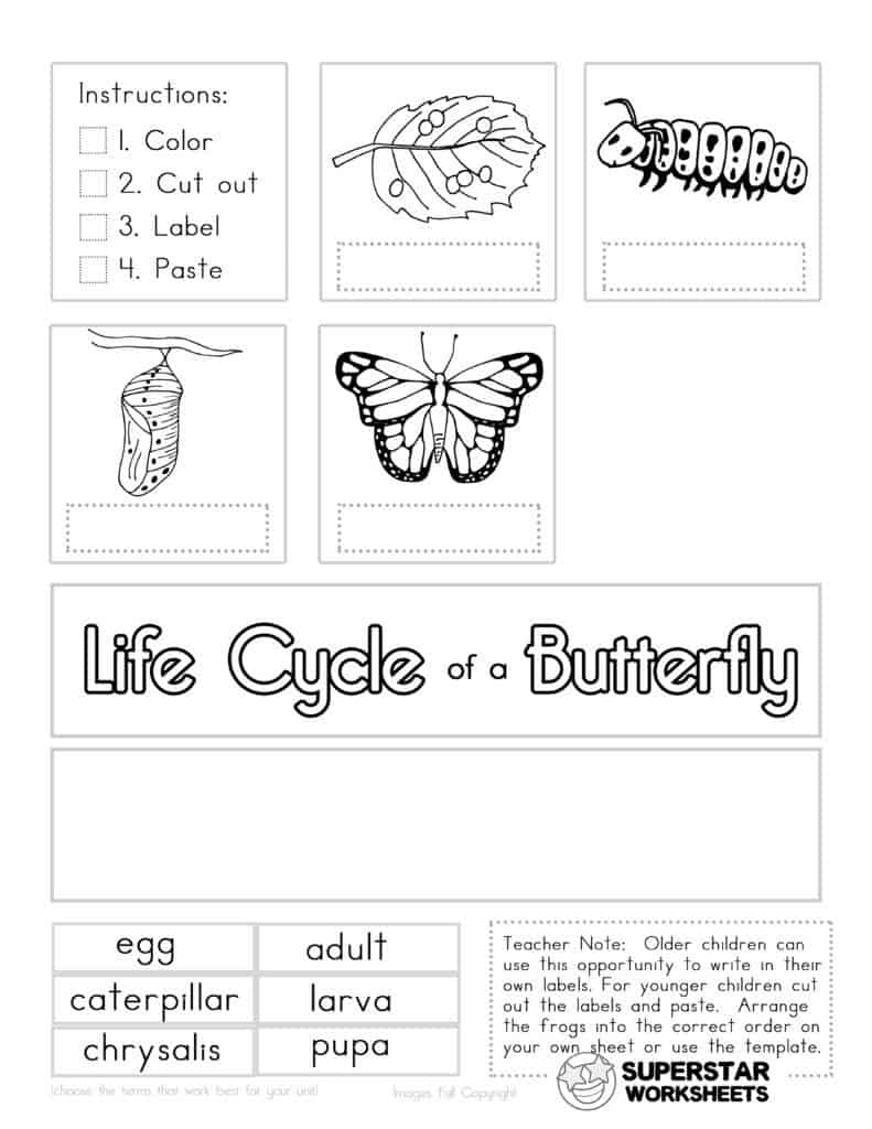 Butterfly Worksheets - Superstar Worksheets inside Free Printable Butterfly Worksheets