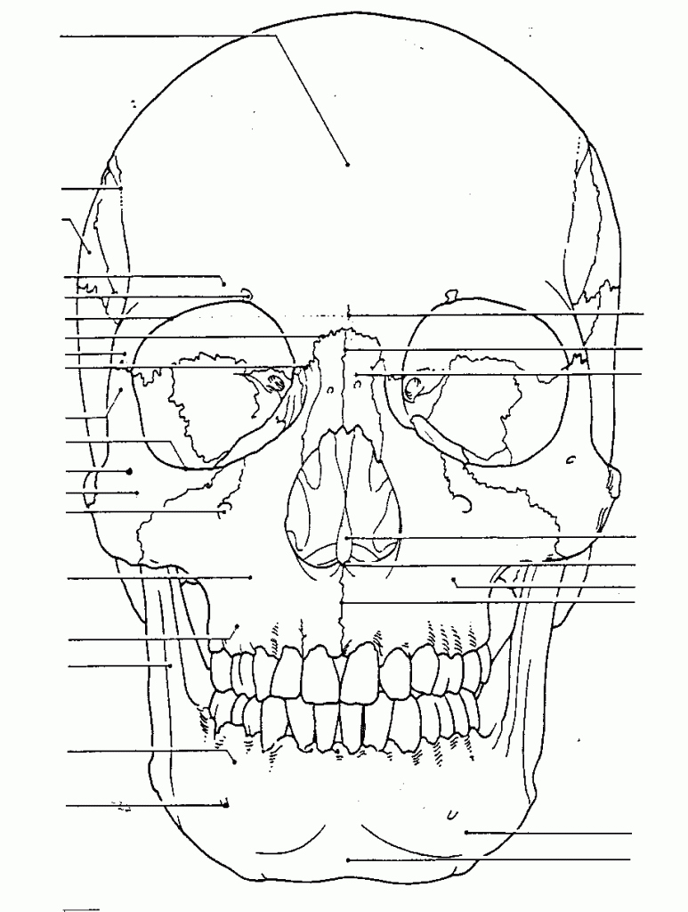 Coloring Pages | Free Anatomy Coloring Pages For Kids inside Free Anatomy Coloring Pages Printable