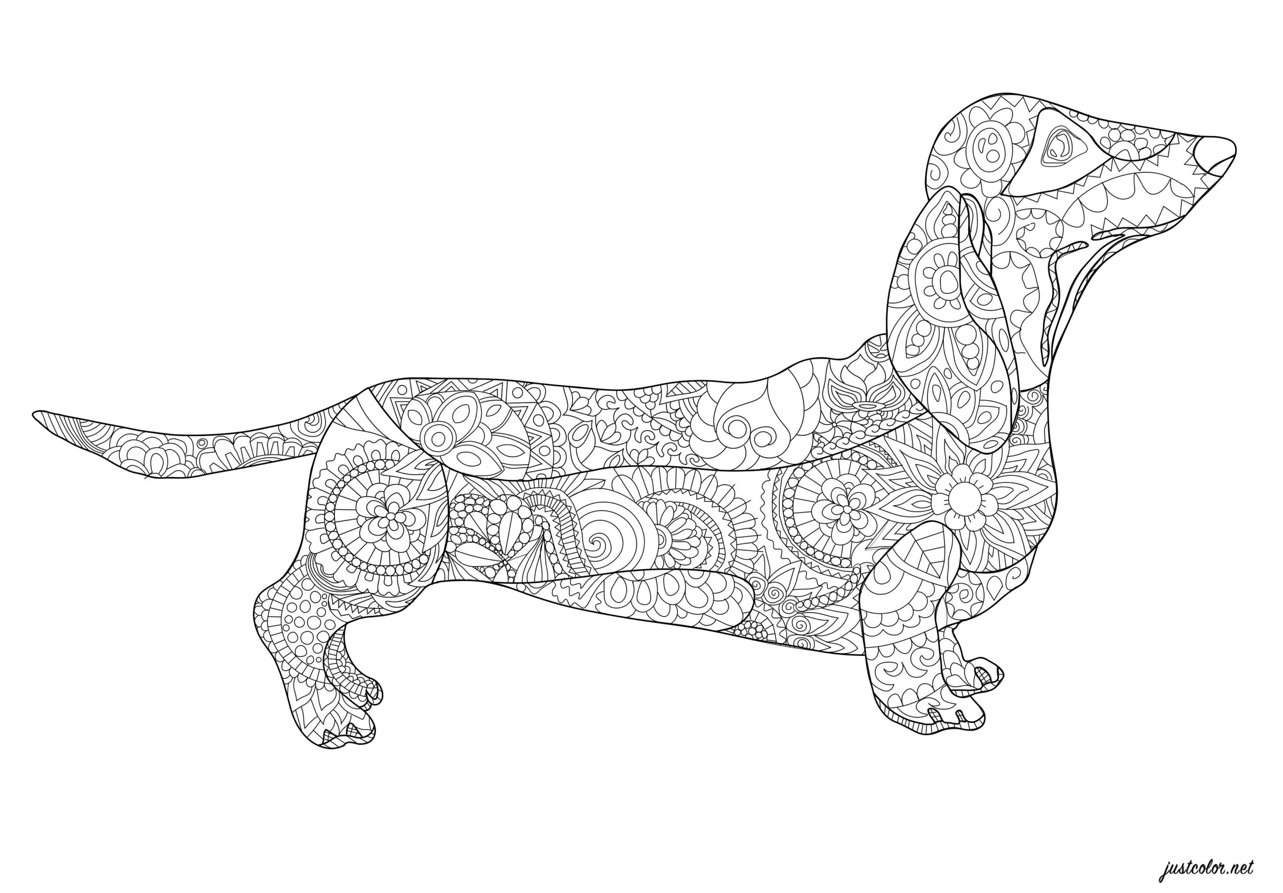 Dachshund - Dogs Adult Coloring Pages regarding Free Printable Dachshund Coloring Pages