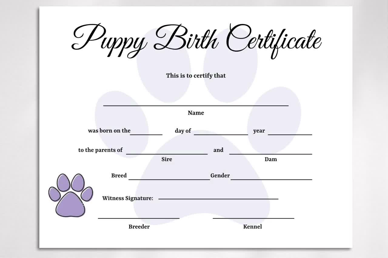 Editable Puppy Birth Certificate Template, Dog Adoption Certificate, Pet Birth Certificate, Dog Breeder Forms throughout Free Printable Birth Certificates for Puppies