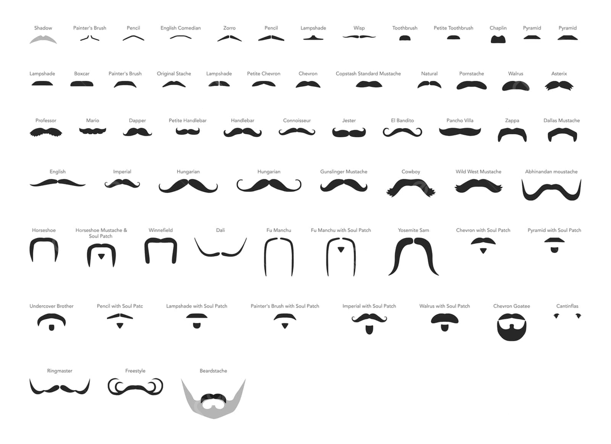 Flat Vector Template Of Black Male Mustache Styles With Names with Name That Mustache Game Printable Free