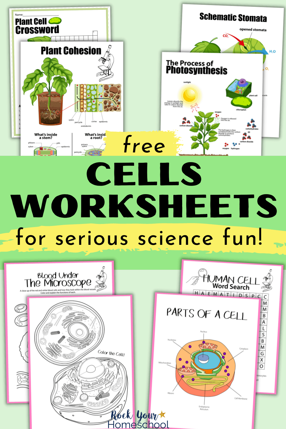 Free Cells Worksheets For Super Fun Science Activities For Kids pertaining to Free Printable Cell Worksheets