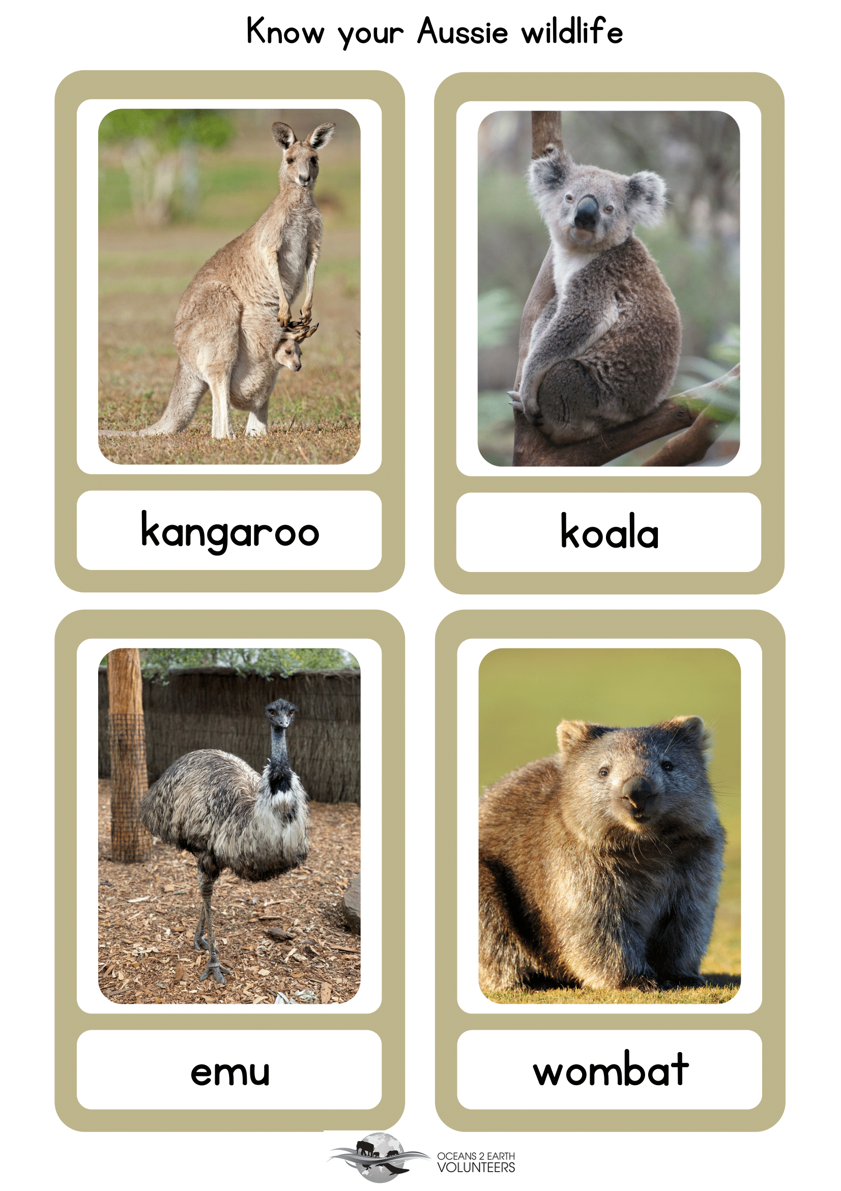 Free Downloads - Oceans 2 Earth Volunteers with regard to Free Printable Australian Animals