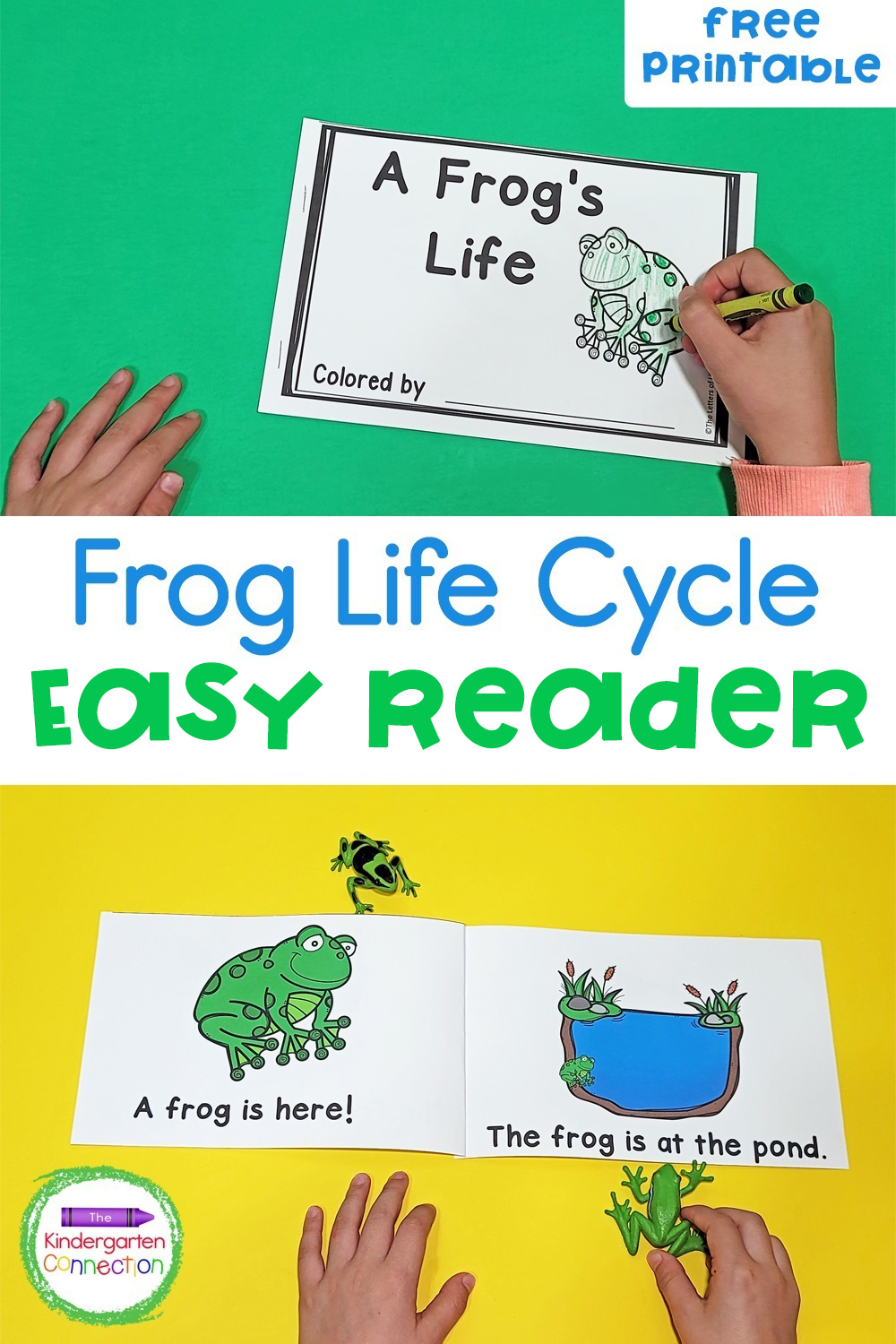 Free Frog Life Cycle Printable Emergent Reader for Life Cycle of a Frog Free Printable Book