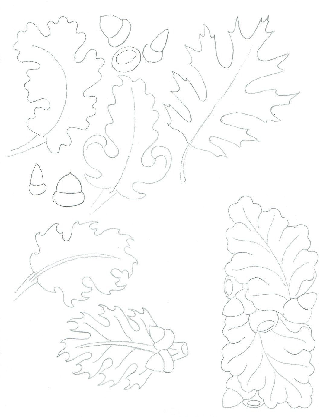 Free Oak Leaf Patternsjim Linnell | Leather Craft Patterns for Free Printable Oak Leaf Patterns