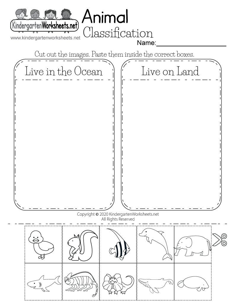 Free Printable Animal Classification Worksheet regarding Free Printable Worksheets For Kids Science