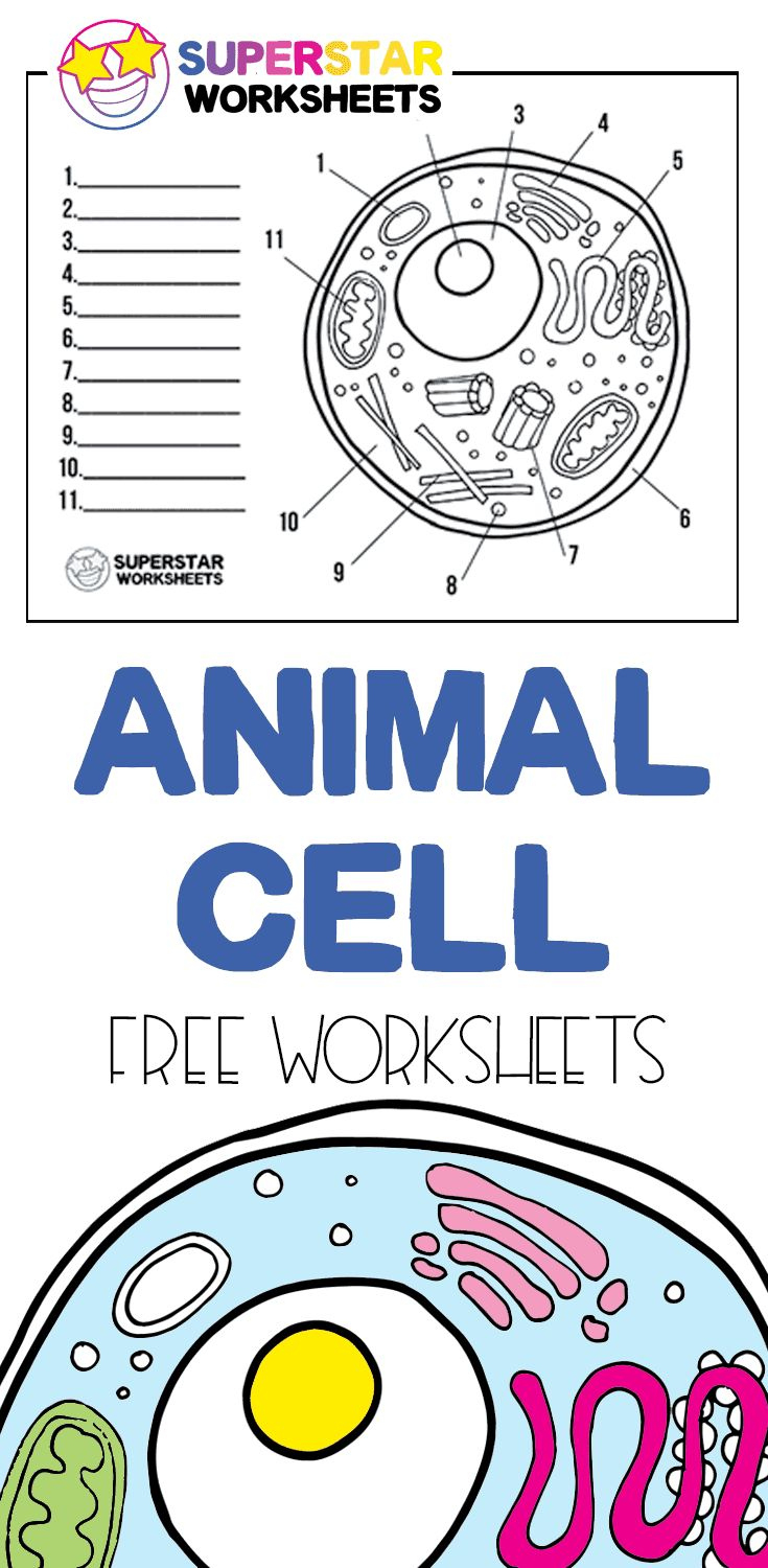 Free Printable Cell Worksheets For Coloring Pages, Label The Cell in Free Printable Cell Worksheets