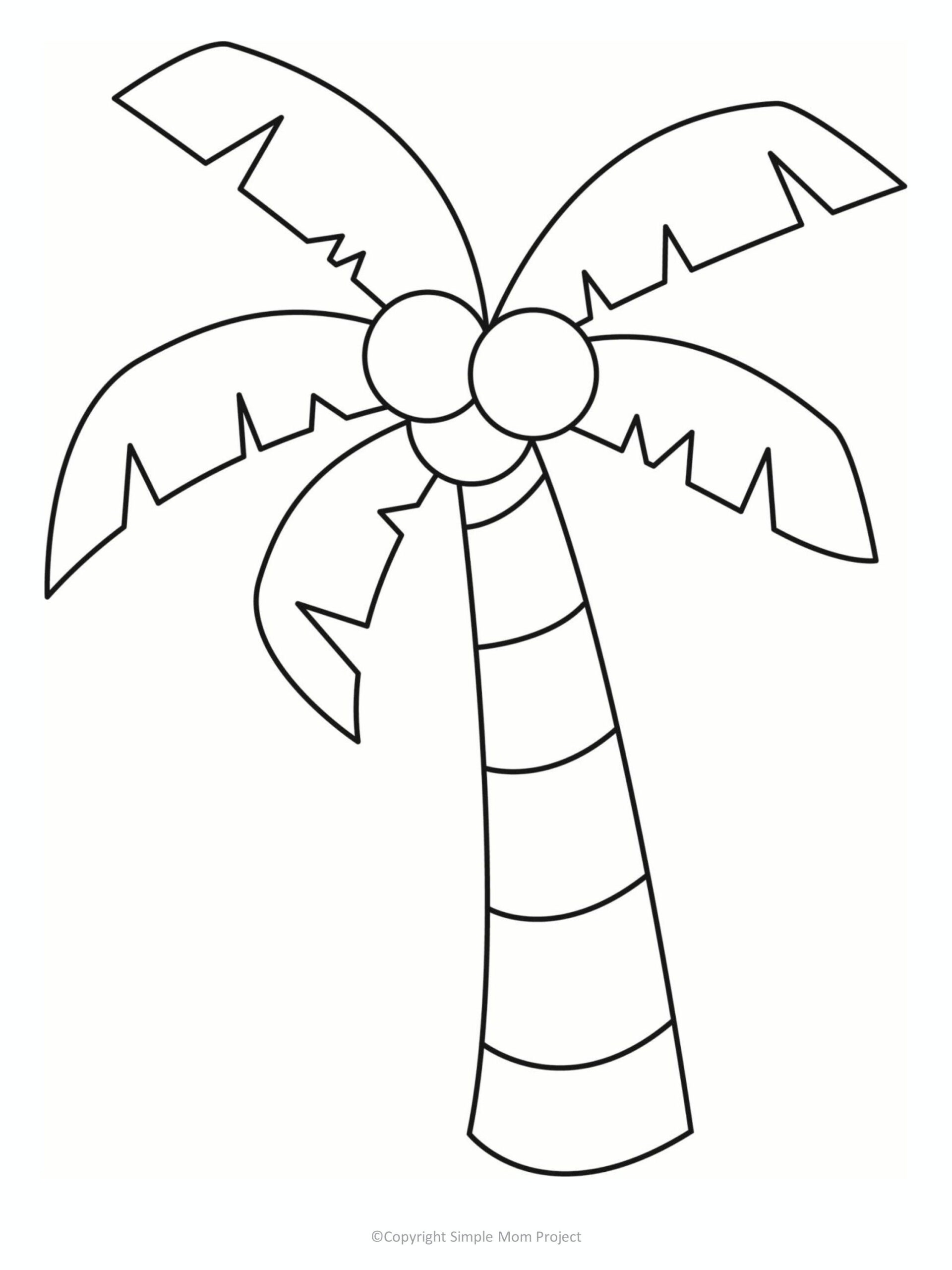 Free Printable Palm Tree Template | Palm Tree Drawing, Palm Tree intended for Free Printable Palm Tree Template