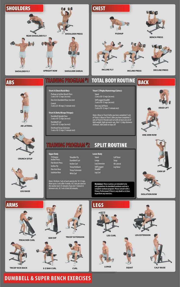 Free Printable Workout Charts For Effective Gym Training with regard to Free Printable Gym Workout Plans