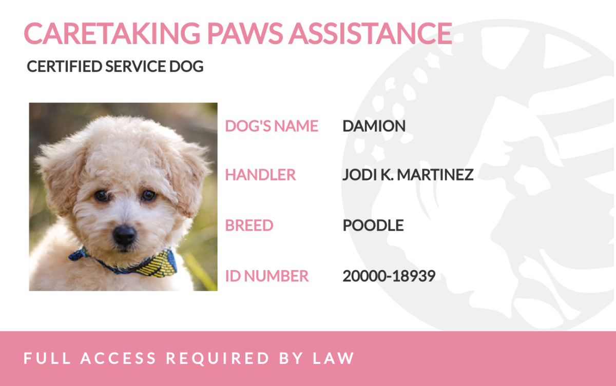 Free Service Dog Id Card Templates &amp;amp; Examples - Edit Online throughout Free Printable Service Dog