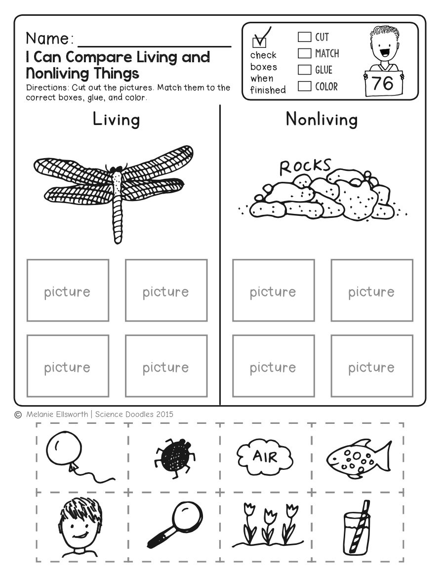 Freebie! No-Prep Kindergarten Science Doodle Printables within Free Printable Worksheets for Kids Science