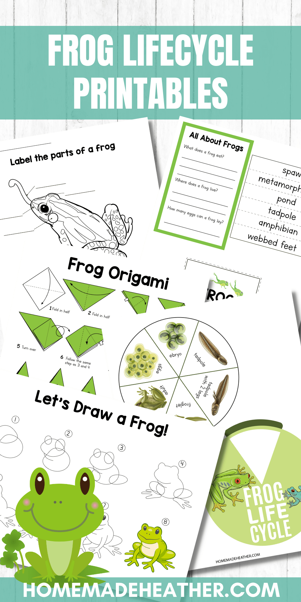 Frog Life Cycle Activity Printables » Homemade Heather intended for Life Cycle of a Frog Free Printable Book