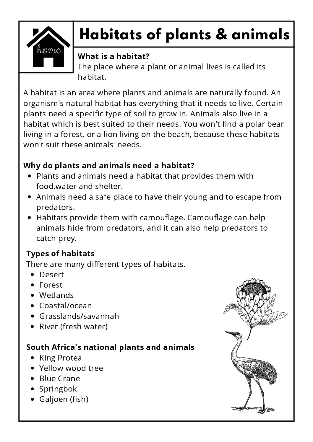 Grade 4 Natural Science &amp;amp; Technology Worksheets • Teacha! within 9Th Grade Science Worksheets Free Printable