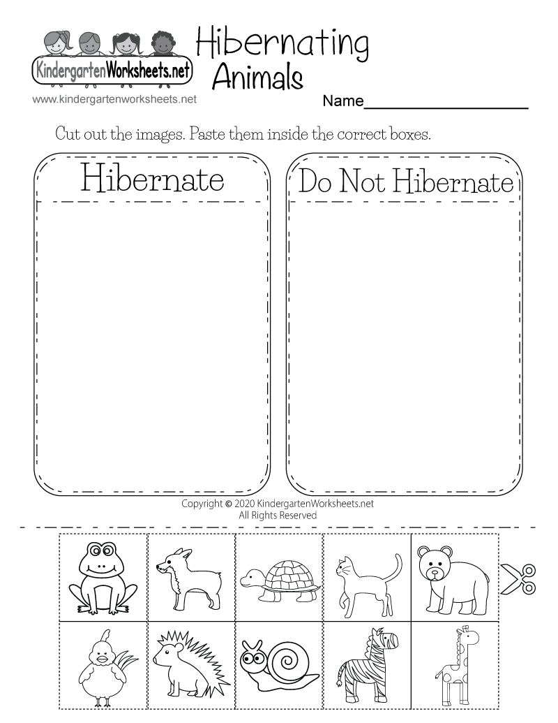 Hibernating Animals Worksheet For Kindergarten inside Free Printable Hibernation Worksheets