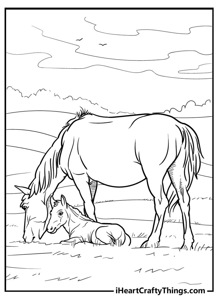 Horse Coloring Pages (100% Free Printables) in Free Horse Printables