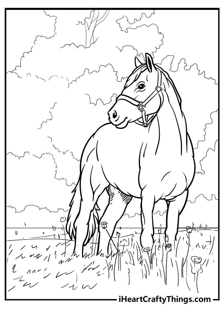 Horse Coloring Pages (100% Free Printables) within Free Horse Printables