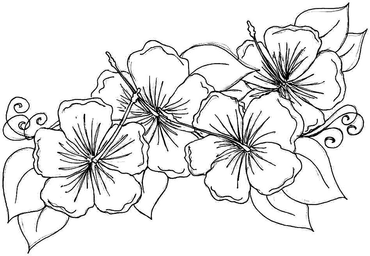 Hummingbird Hibiscus Tattoo Drawing | The Hibiscus Flowers Tattoo intended for Free Printable Hibiscus Coloring Pages