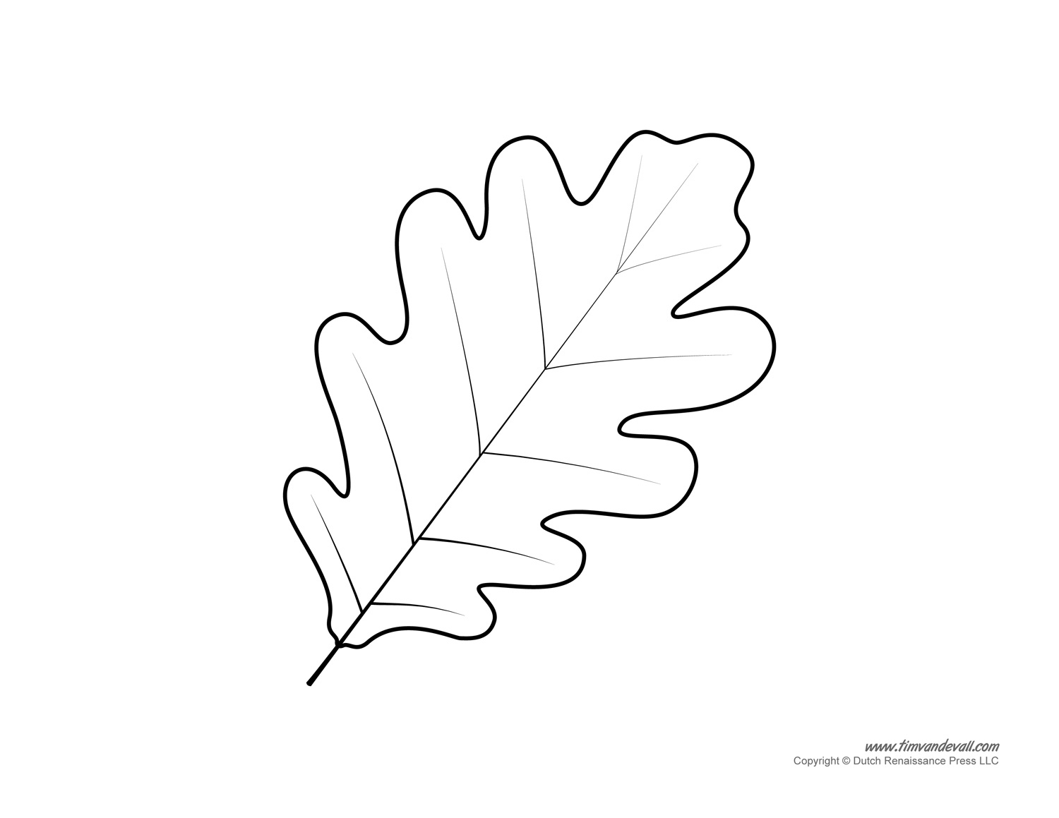 Leaf Templates &amp;amp; Leaf Coloring Pages For Kids | Leaf Printables for Free Printable Oak Leaf Patterns