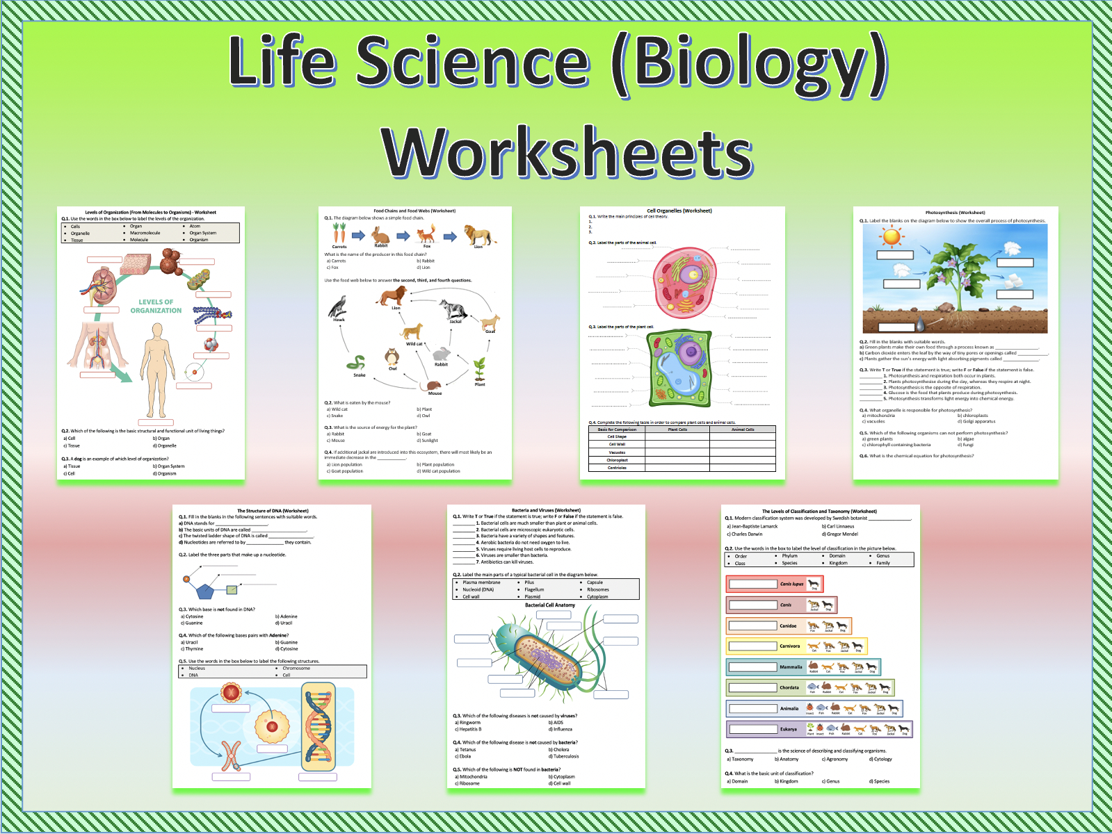 Life Science, Biology - Worksheets (Printables) | Teaching Resources pertaining to Free Printable Biology Worksheets for High School