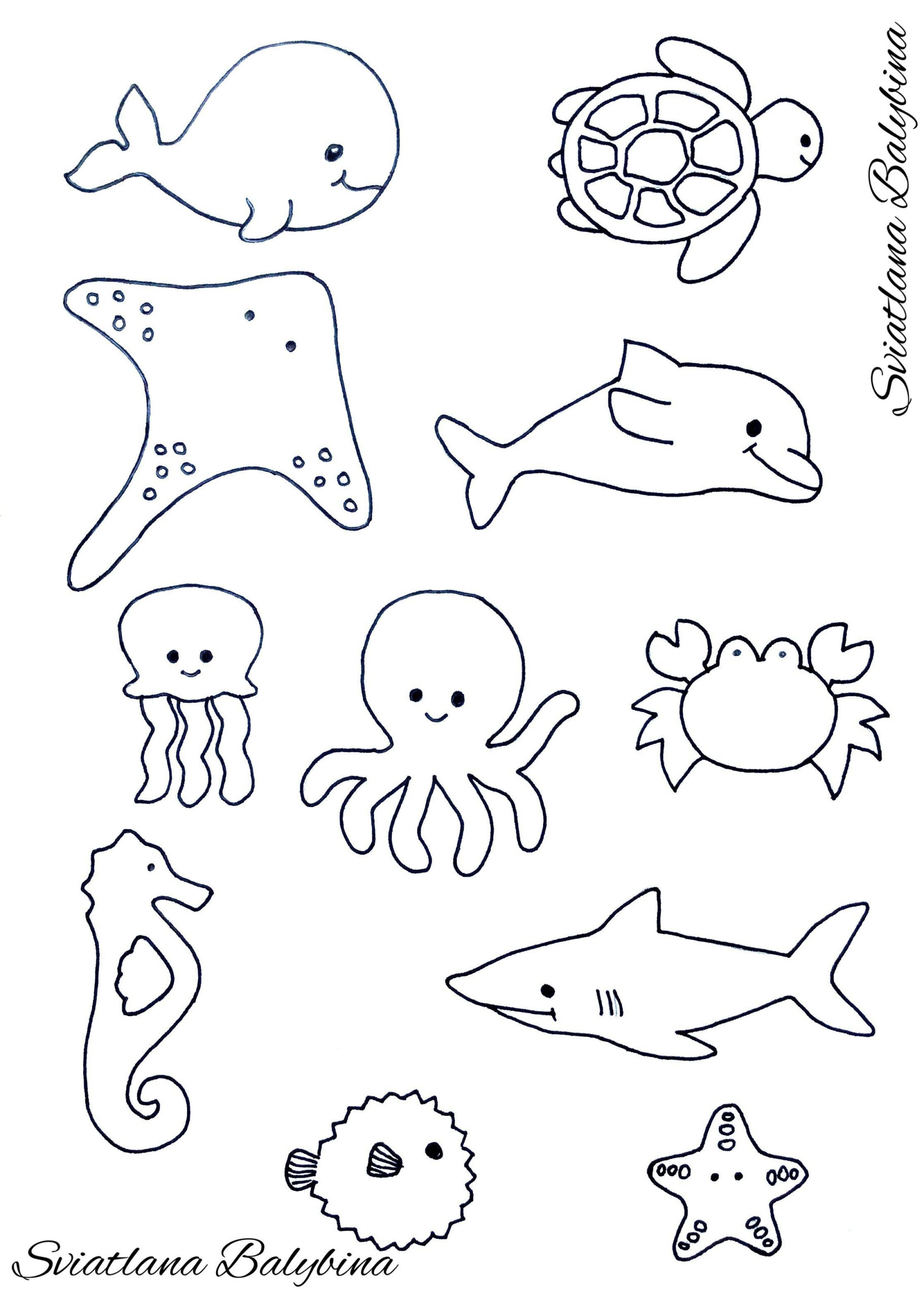 Ocean Babies - Sea Animal Crafts For Kids with Free Printable Sea Creature Templates