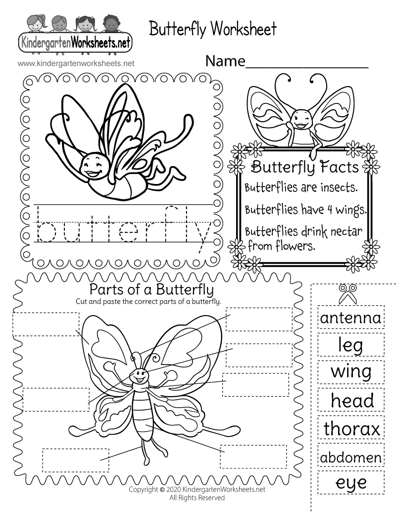 Parts Of A Butterfly Worksheet - Free Printable, Digital, &amp;amp; Pdf with regard to Free Printable Butterfly Worksheets