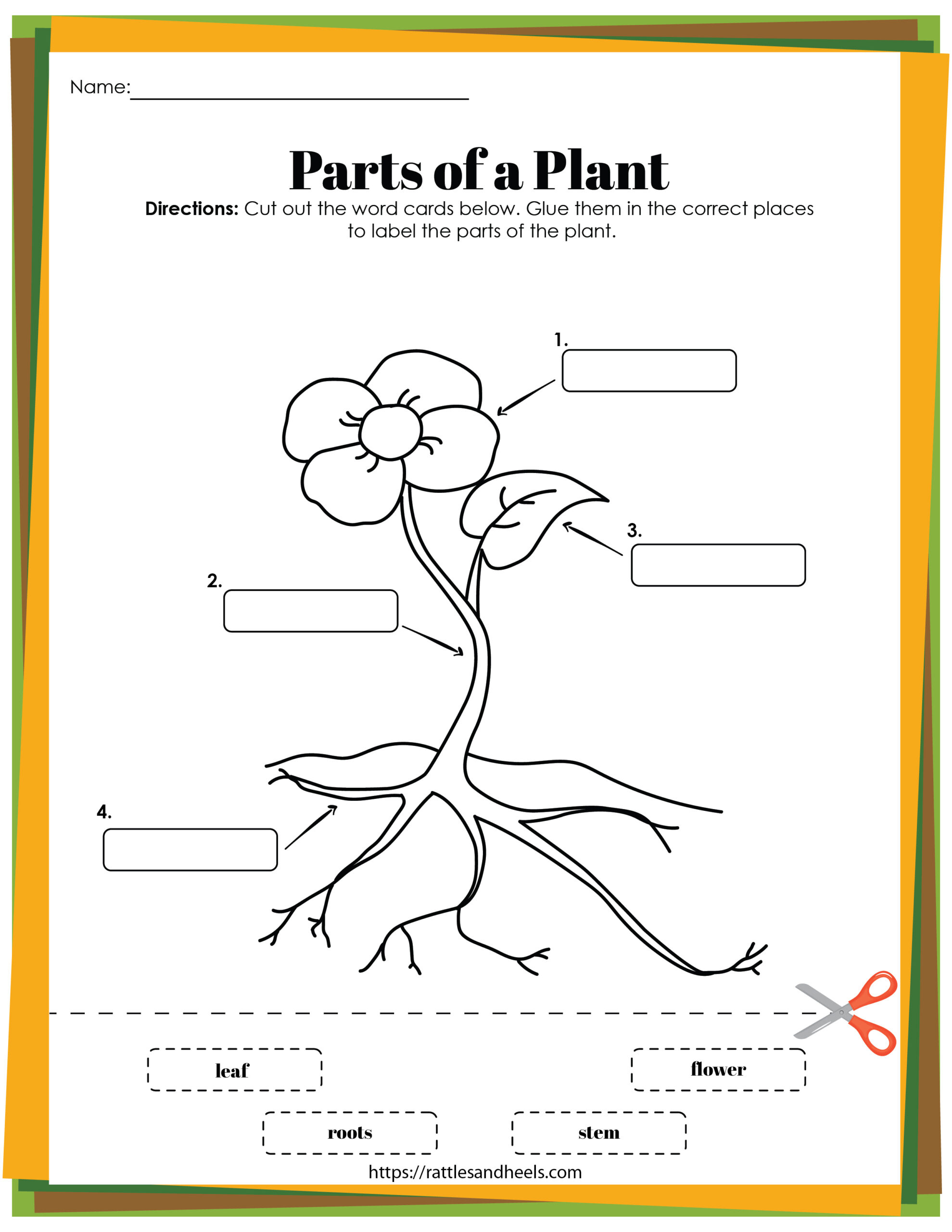 Plant Life Cycle Worksheets Free Printables For Kids - Adanna Dill with regard to Free Plant Life Cycle Worksheet Printables