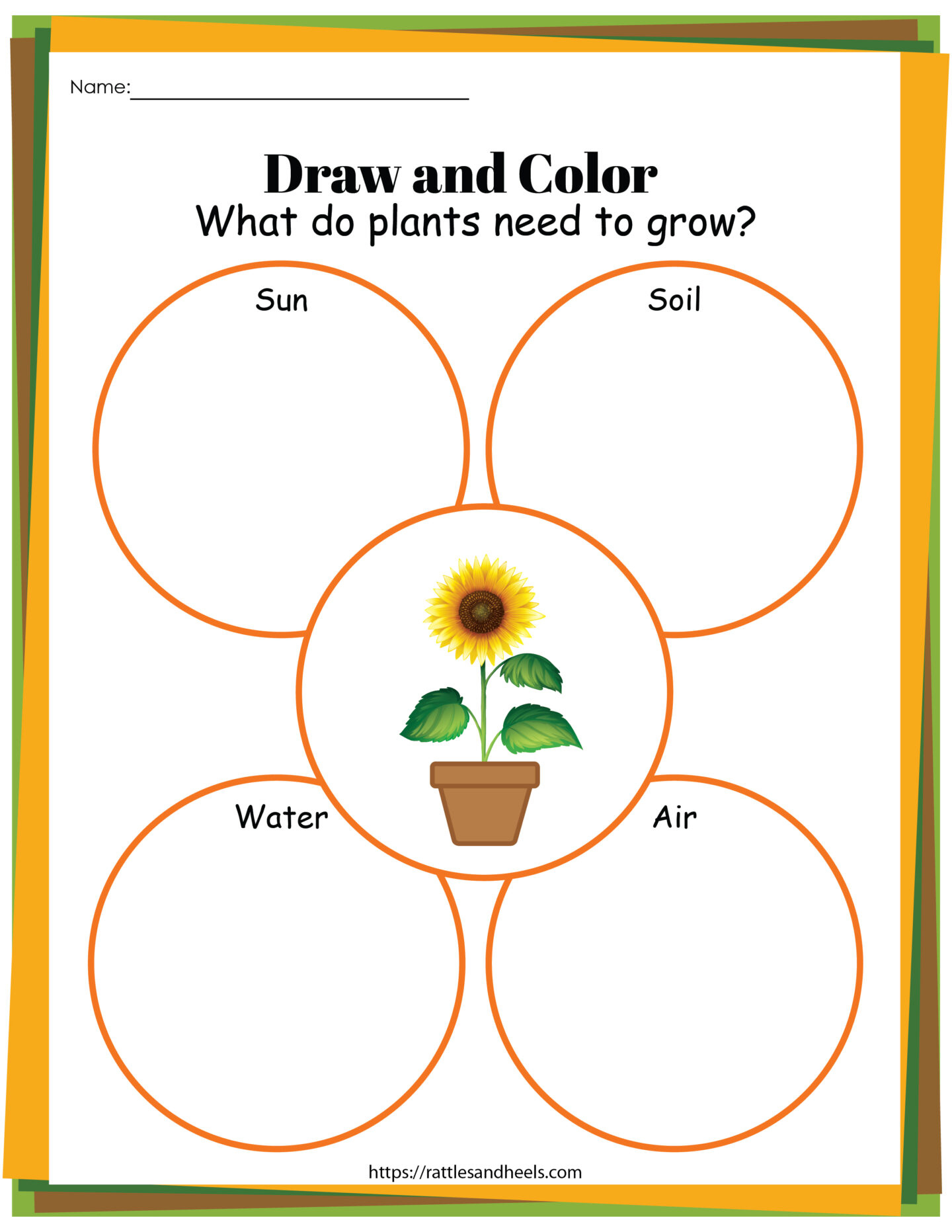 Plant Life Cycle Worksheets Free Printables For Kids - Adanna Dill within Free Plant Life Cycle Worksheet Printables