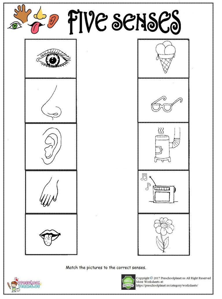 Printable Five Senses Worksheet – Preschoolplanet with regard to Free Printable Worksheets Kindergarten Five Senses