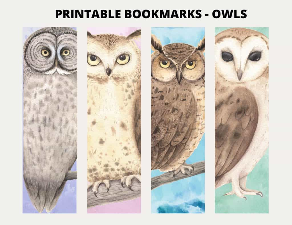 Printable Owl Bookmarks - My Printable Home in Free Printable Owl Bookmarks