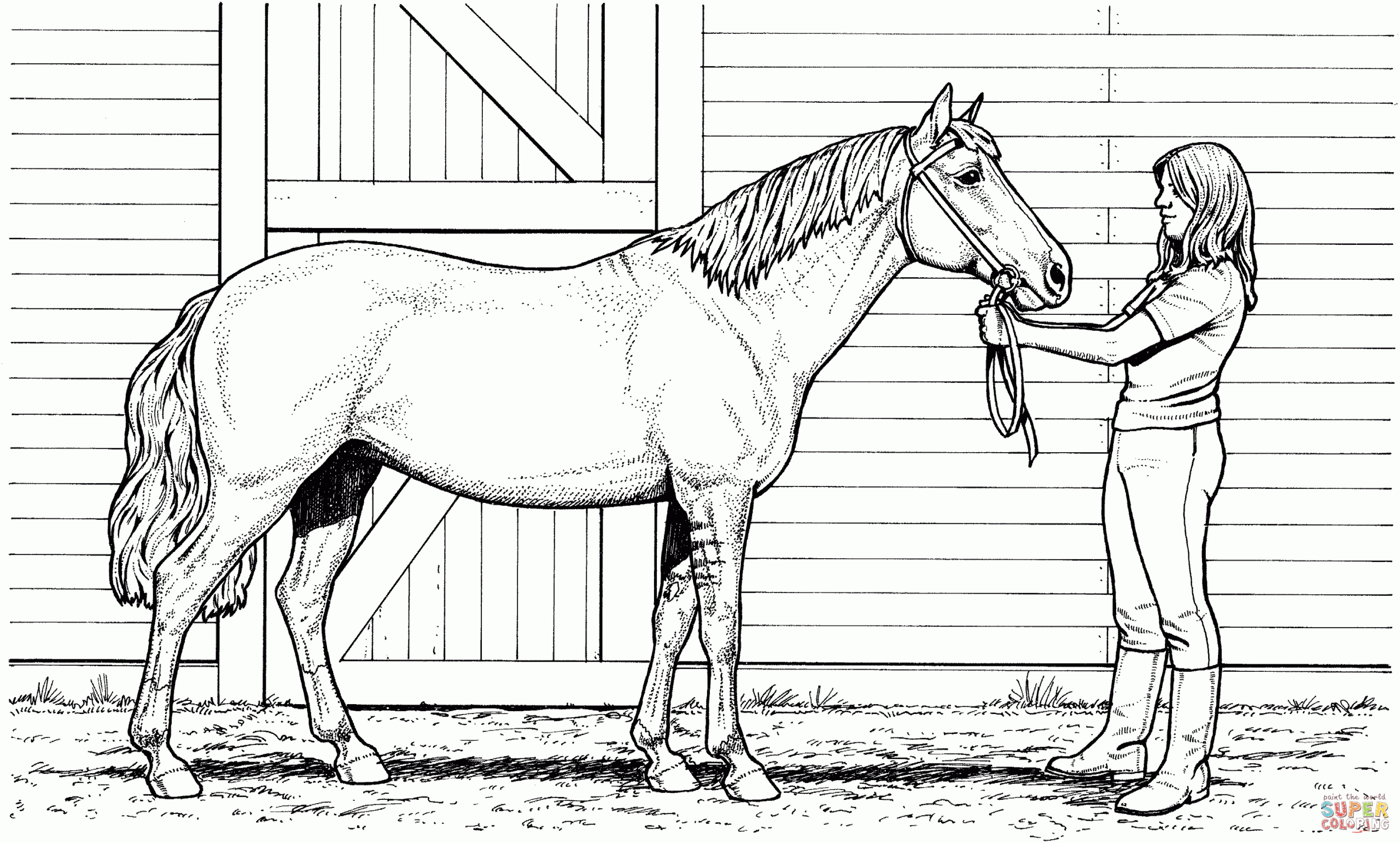 Printable Realistic Horse Coloring Page | Horse Coloring Books in Free Printable Realistic Horse Coloring Pages