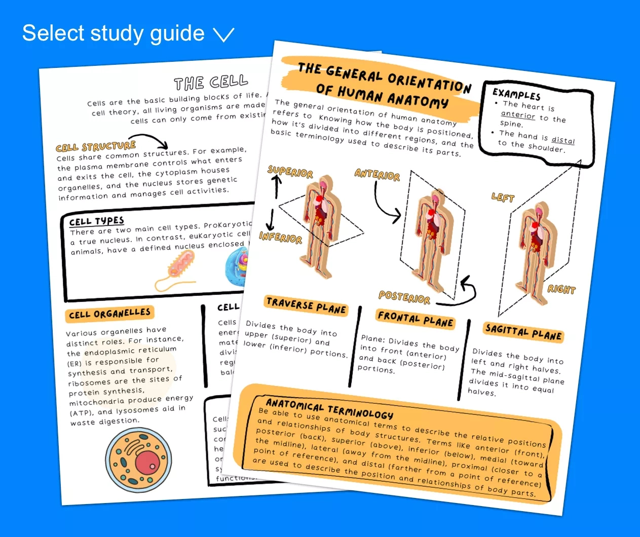 Printable Teas Practice Test Pdf: Free (2024) for Free Printable Teas Test Study Guide