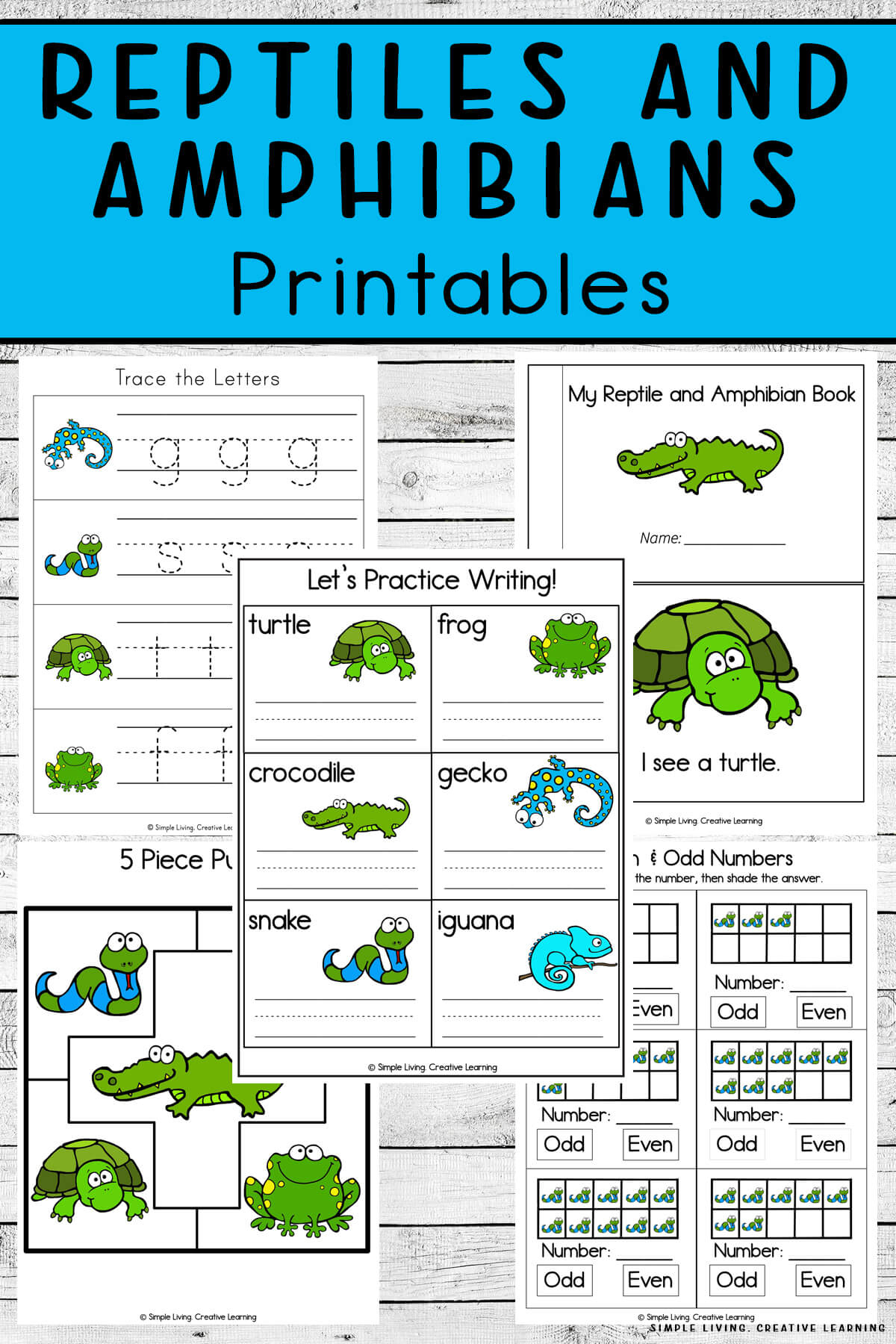 Reptiles And Amphibians Printables - Simple Living. Creative Learning for Free Printable Reptile Worksheets