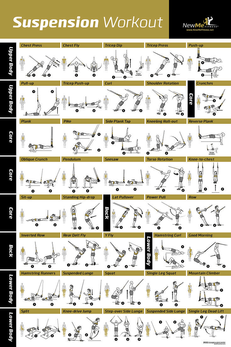 Suspension Exercise Poster For Trx Workouts throughout Free Printable Trx Workouts