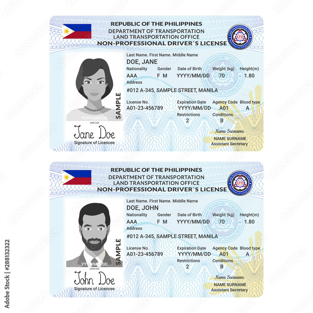 Vector Template Of Sample Driver License Plastic Card For with regard to Free Printable Fake Drivers License