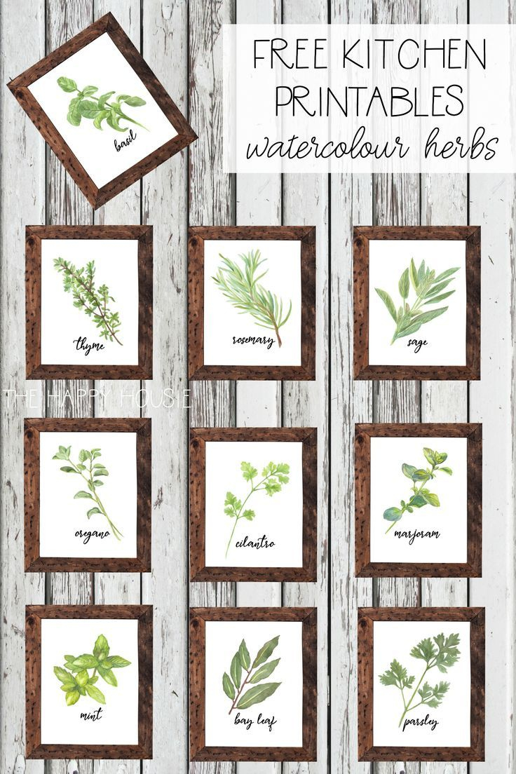 Watercolour Herb Free Kitchen Printables {In 10 Designs throughout Free Printable Pictures Of Herbs