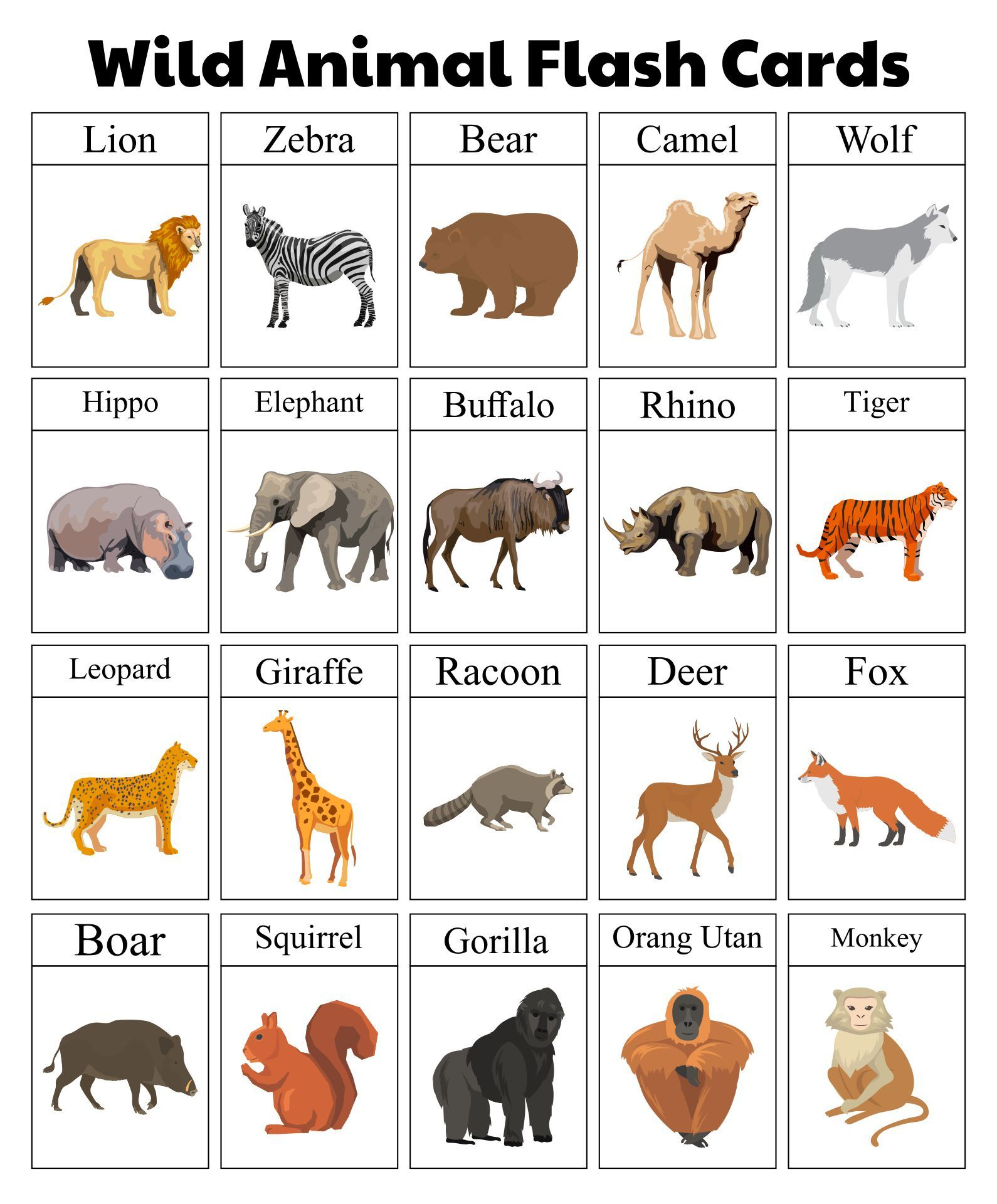 Wild Animal Flash Cards Printable | Animal Flashcards, Printable with regard to Free Printable Animal Cards